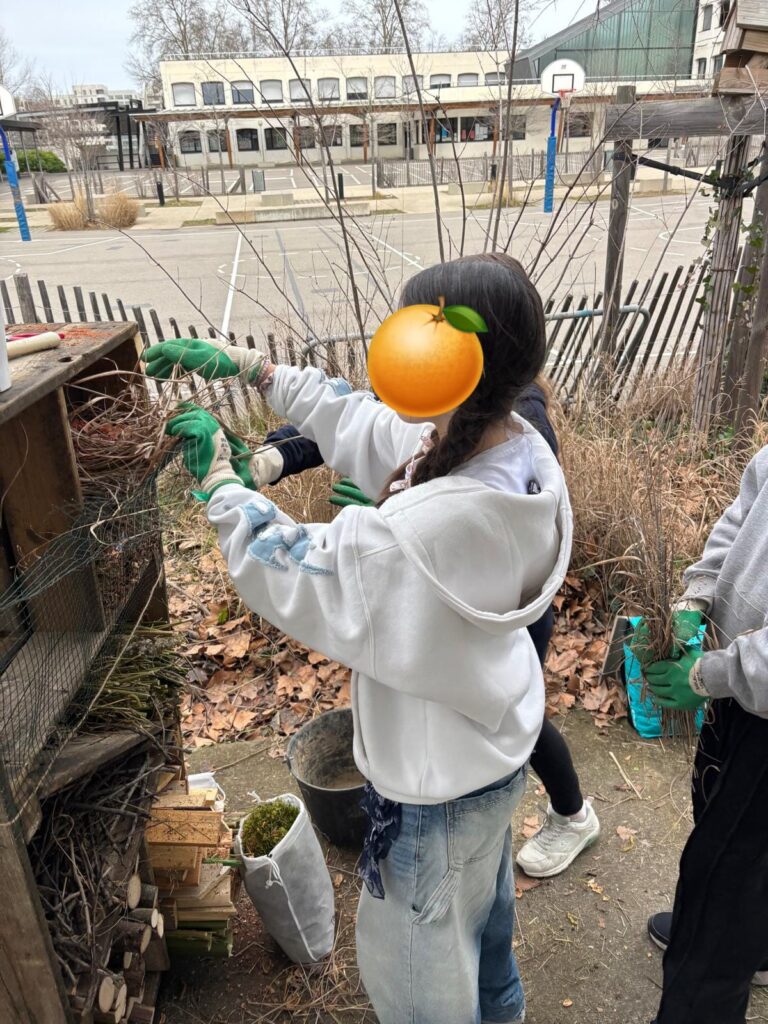 illustration  A la découverte des auxiliaires de cultures avec les étudiantes de l’ISARA